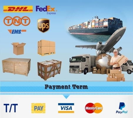 Système de traitement des frites personnalisable à grande échelle avec option de personnalisation