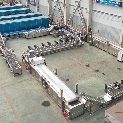 Ligne de production de frites et de frites congelées entièrement automatique Capacité 300 kg