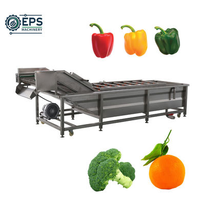 Machine automatique de lavage de fruits à grande échelle pour des performances personnalisées