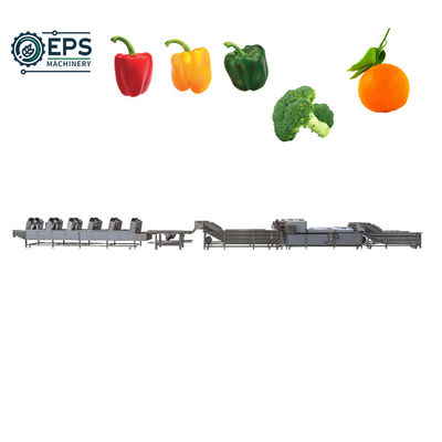 Laveuse de fruits et légumes entièrement automatique pour les grossistes alimentaires répondant à vos normes
