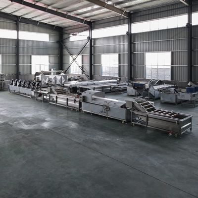 Machine à laver et blanchir des fruits et légumes industriels pour les besoins de nettoyage de 500 kg