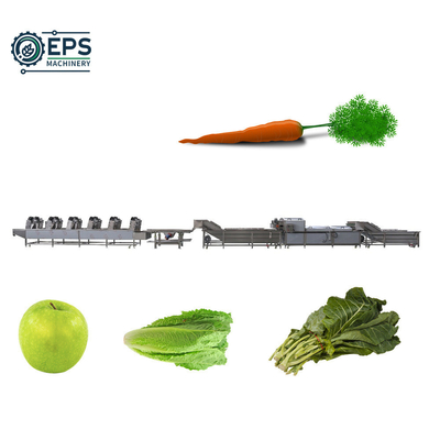 Machine à laver à bulles d'épinards, de persil, de laitue, de gingembre, de tomate et de carotte avec support en ligne