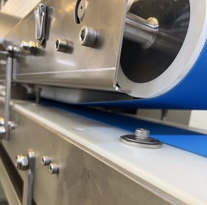 Traitement thermique Ferrailleuse de viande et de poisson transformée en acier inoxydable pour découper des tranches