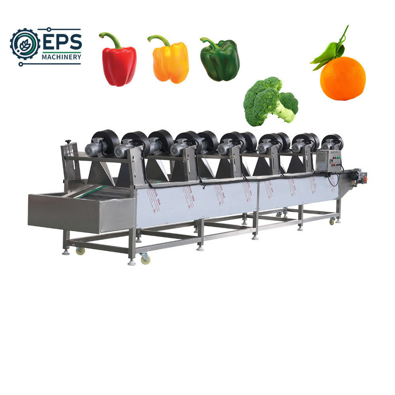 304 machine de séchage et de transformation de légumes en acier inoxydable pour la production à grande échelle