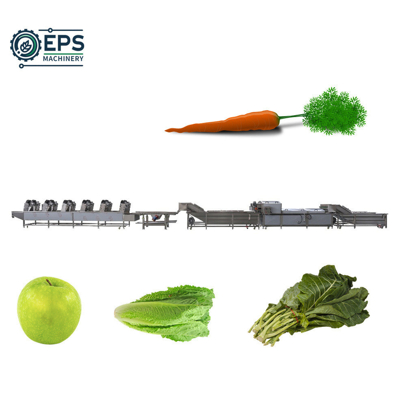 Personnaliser la ligne de nettoyage et de séchage entièrement automatique de fruits et légumes Voltage 110V-380V
