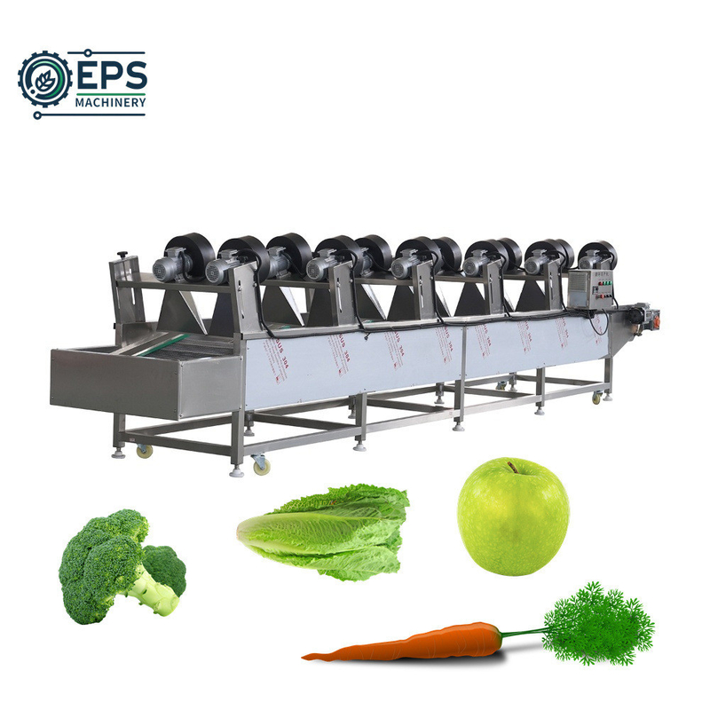 Système de lavage de fruits et légumes de 1500 kg/h de capacité pour le nettoyage des fruits et légumes