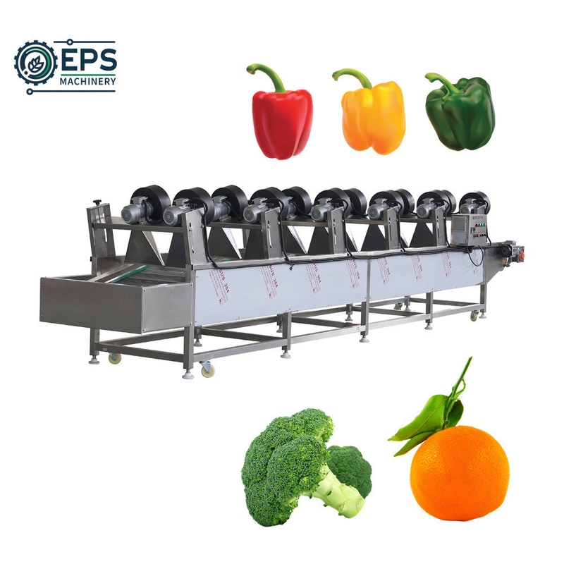 Équipement de lavage de salade de légumes et de fruits avec une capacité de 1500 kg/h et une tension de 110V à 380V
